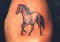 tatuaggio Cavallo